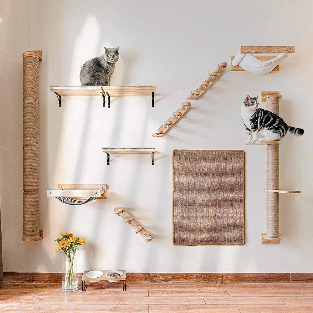 Wall-Mounted Cat Shelves