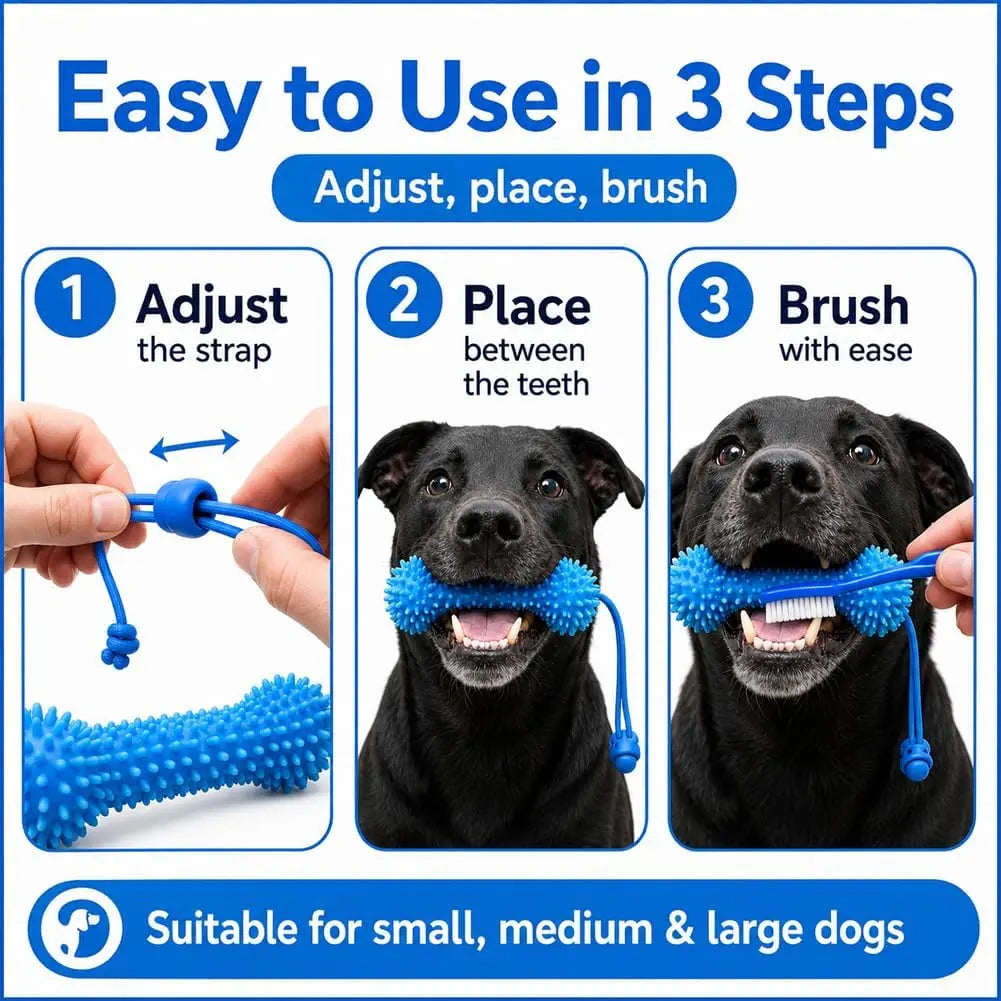 Dental Chew Bone with Tug Rope