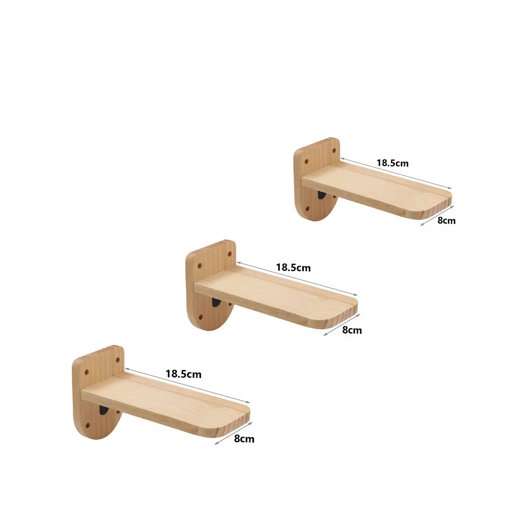 Wall-Mounted Cat Shelves