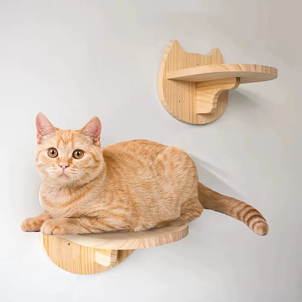 Wall-Mounted Cat Shelves