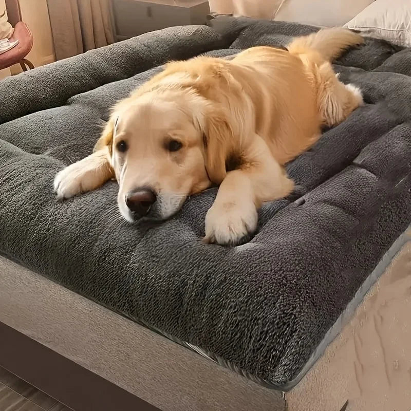 Golden retriever lying on an extra-large thick grey plush dog bed mat