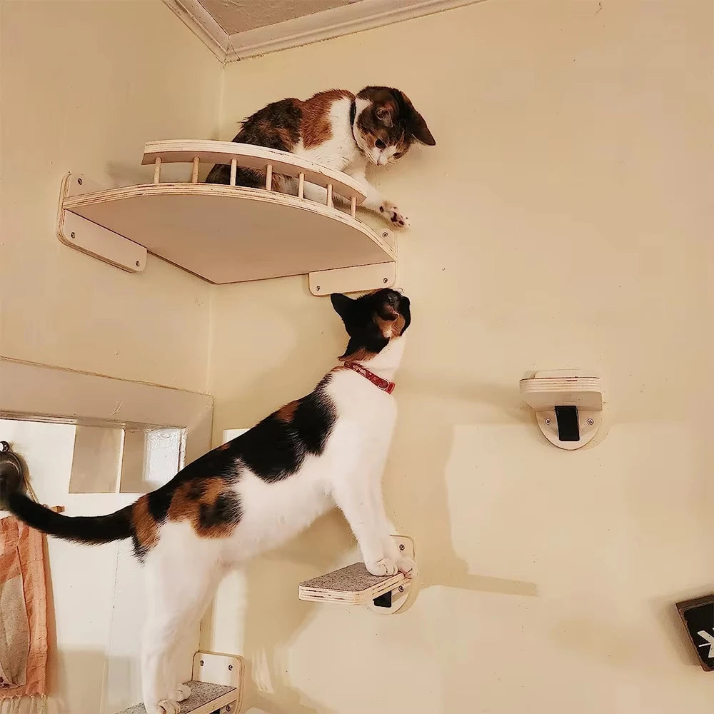 Wall-Mounted Cat Shelves