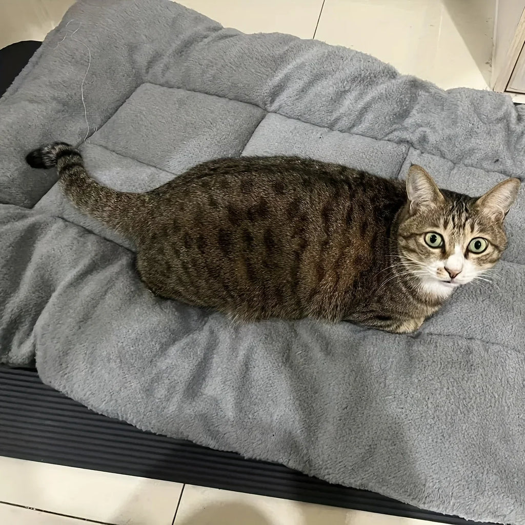 Extra-Large Plush Pet Bed