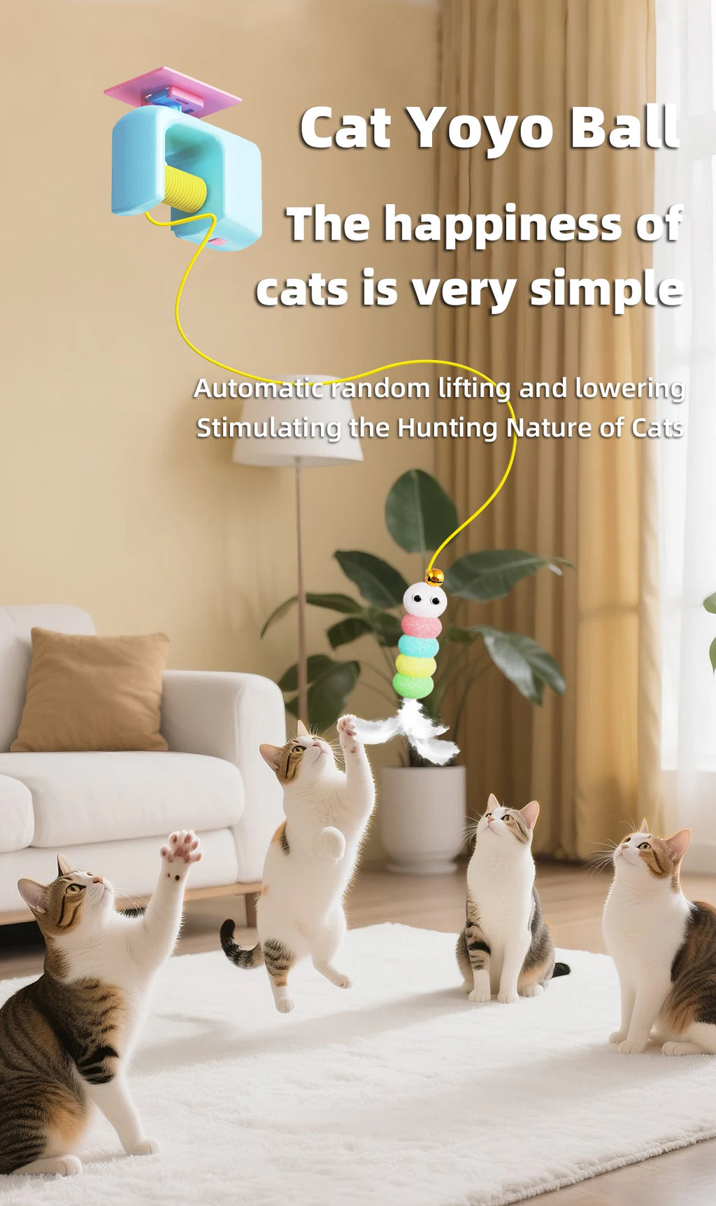 Flying Bird Cat Teaser