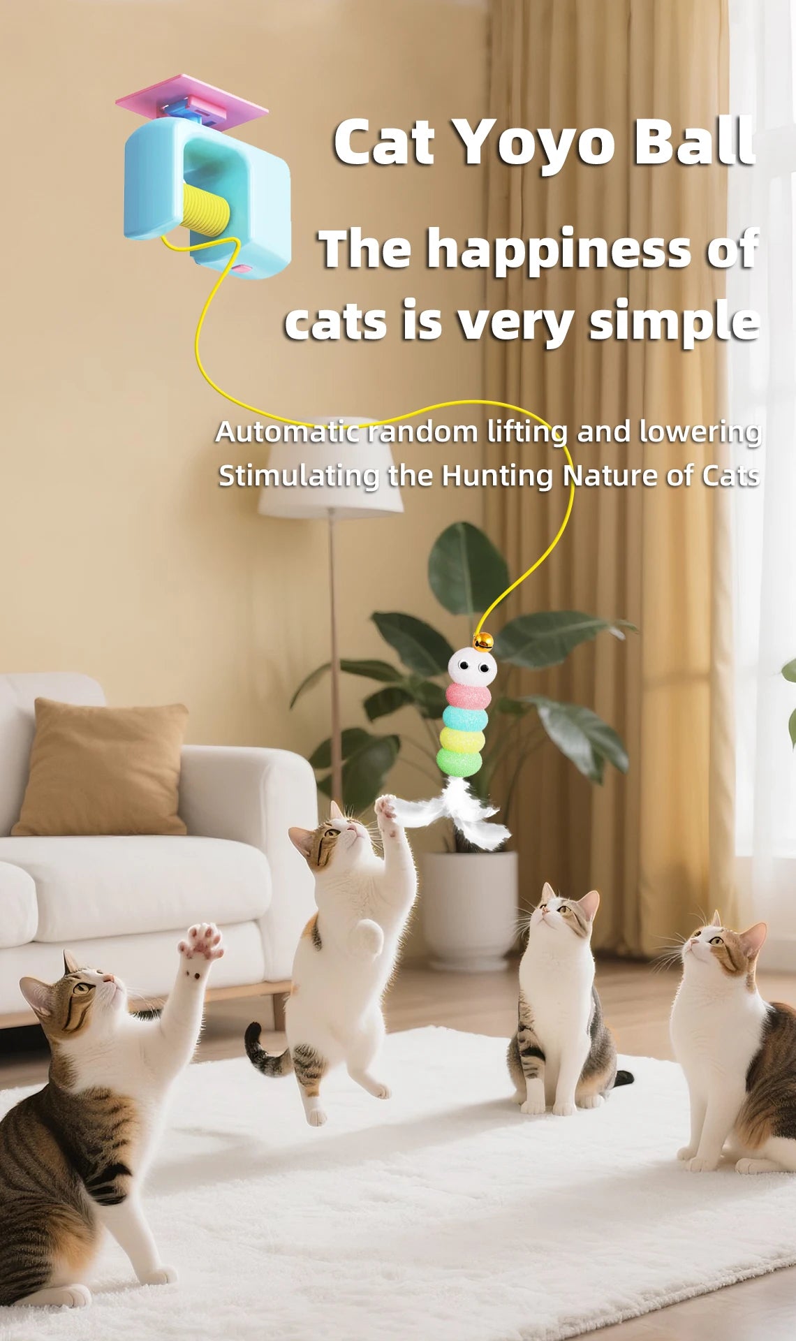 Flying Bird Cat Teaser