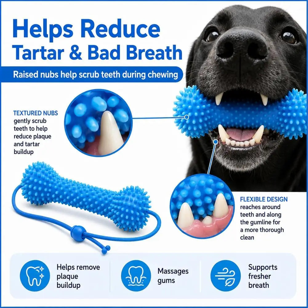 Dental Chew Bone with Tug Rope