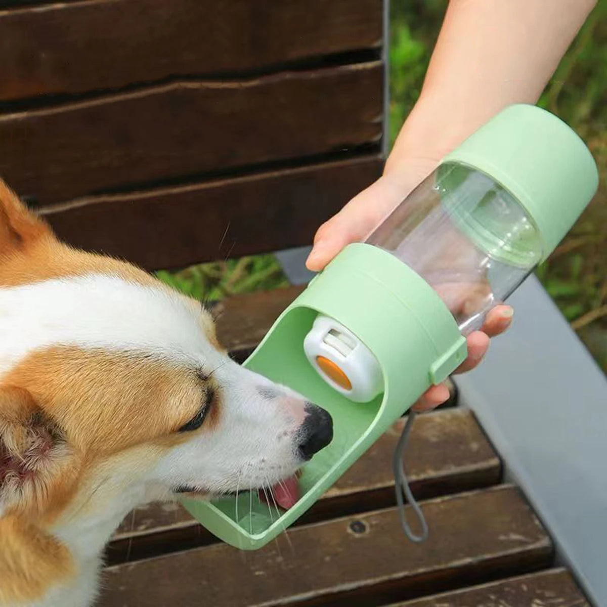 2-in-1 Dog Water Bottle & Snack Cup