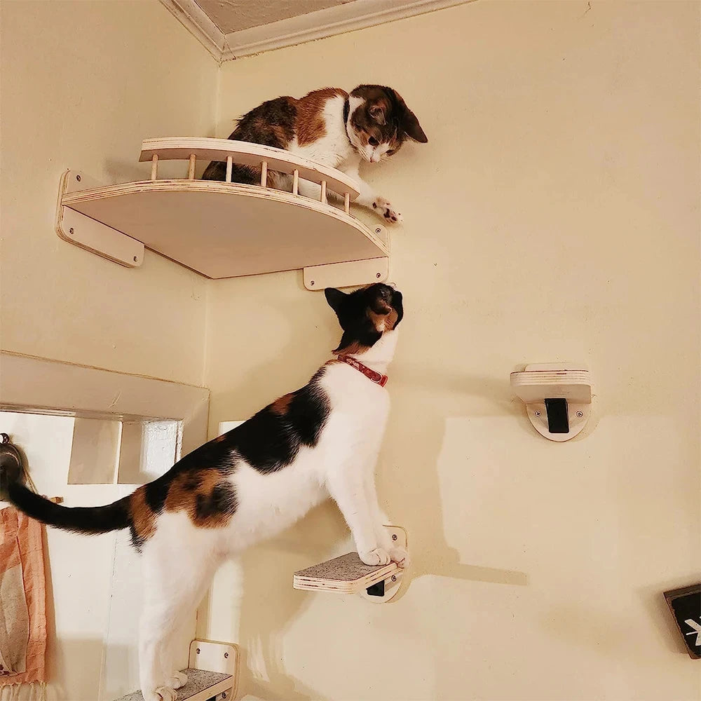 Wall-Mounted Cat Shelves