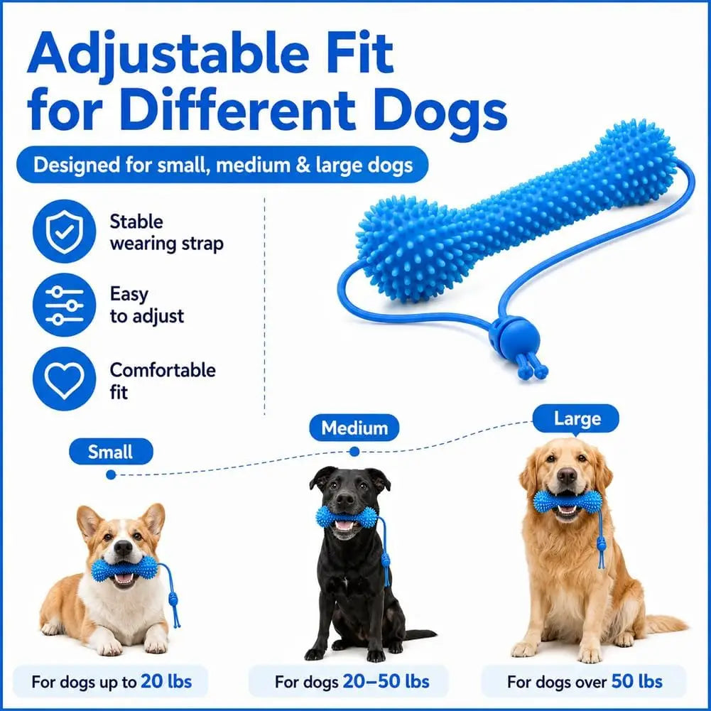 Dental Chew Bone with Tug Rope