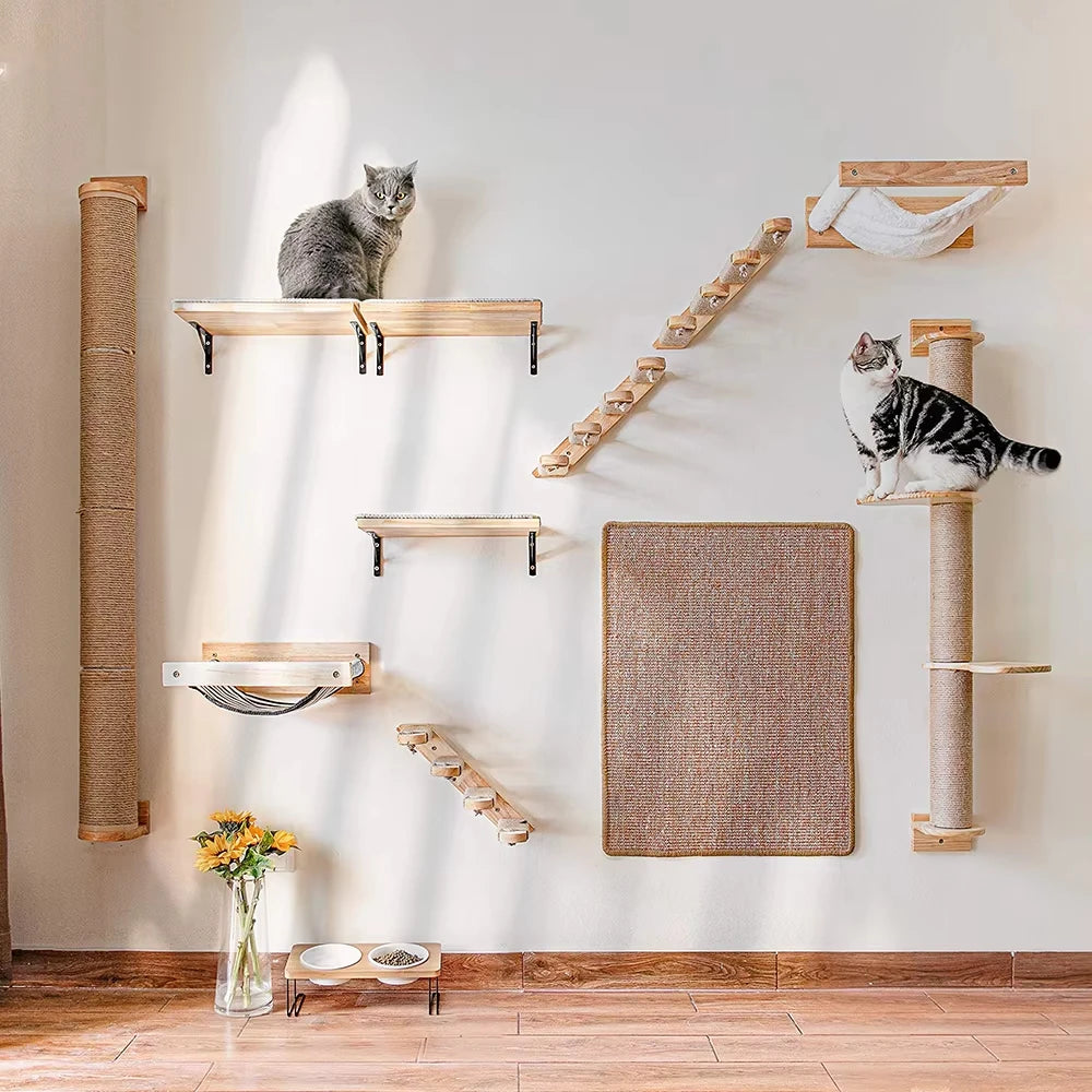 Two cats on wall-mounted wooden cat shelves with steps, hammock, sisal scratching post and scratch pad