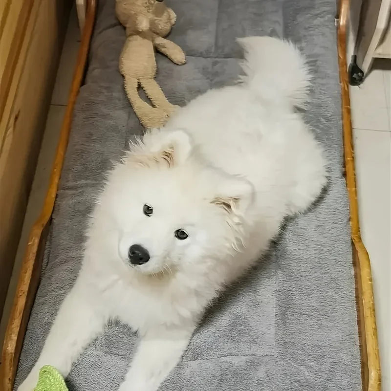 Extra-Large Plush Pet Bed