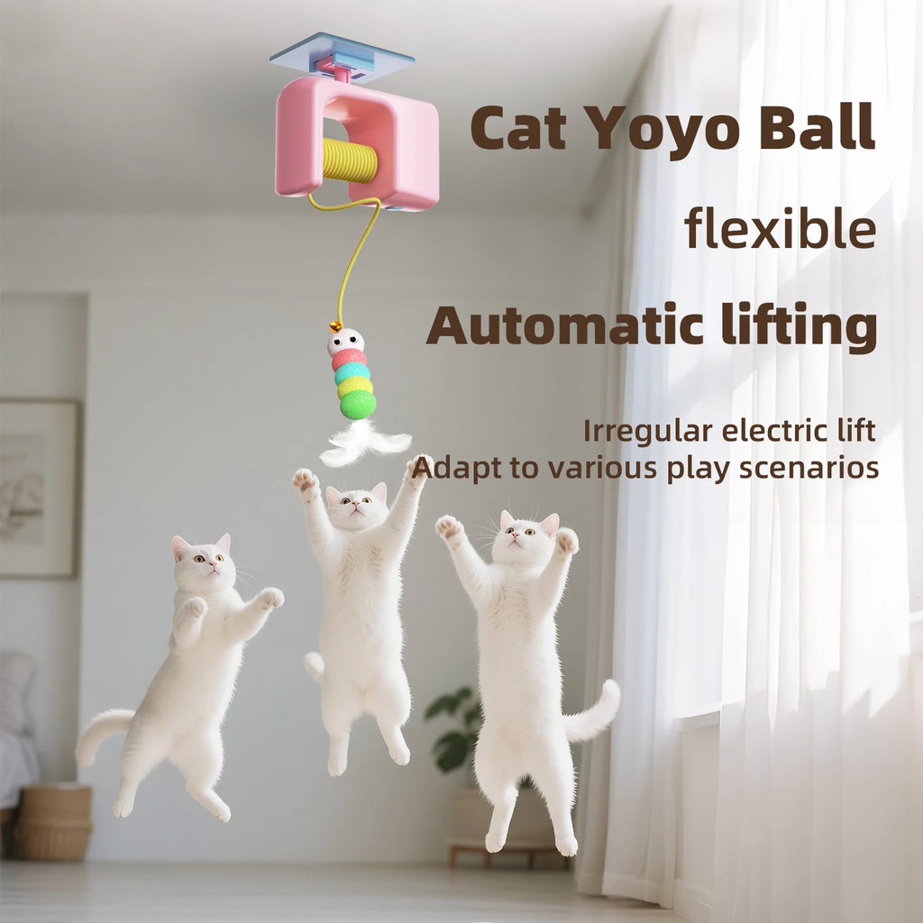Flying Bird Cat Teaser