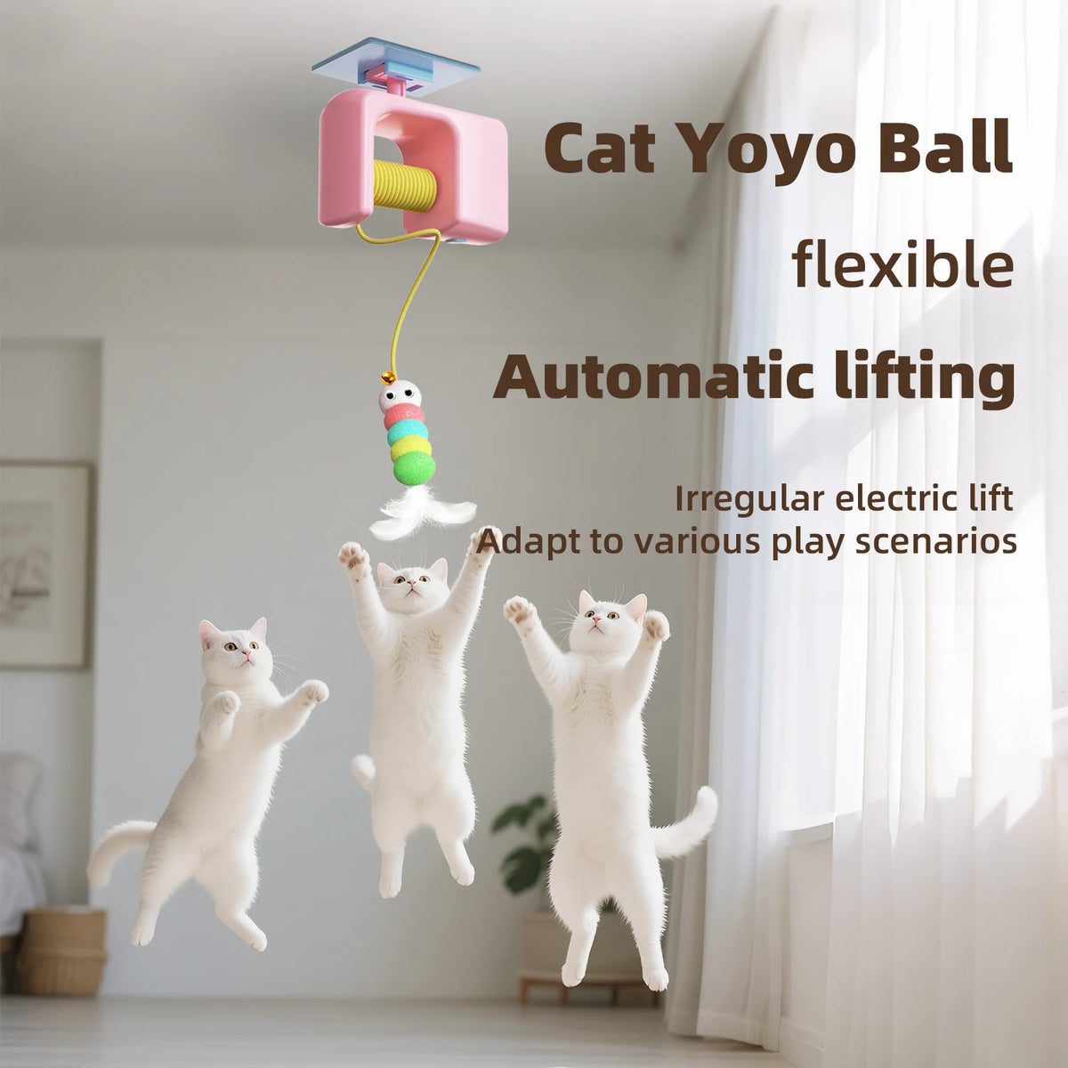 Flying Bird Cat Teaser