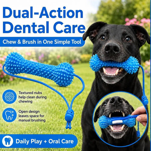Dental Chew Bone with Tug Rope