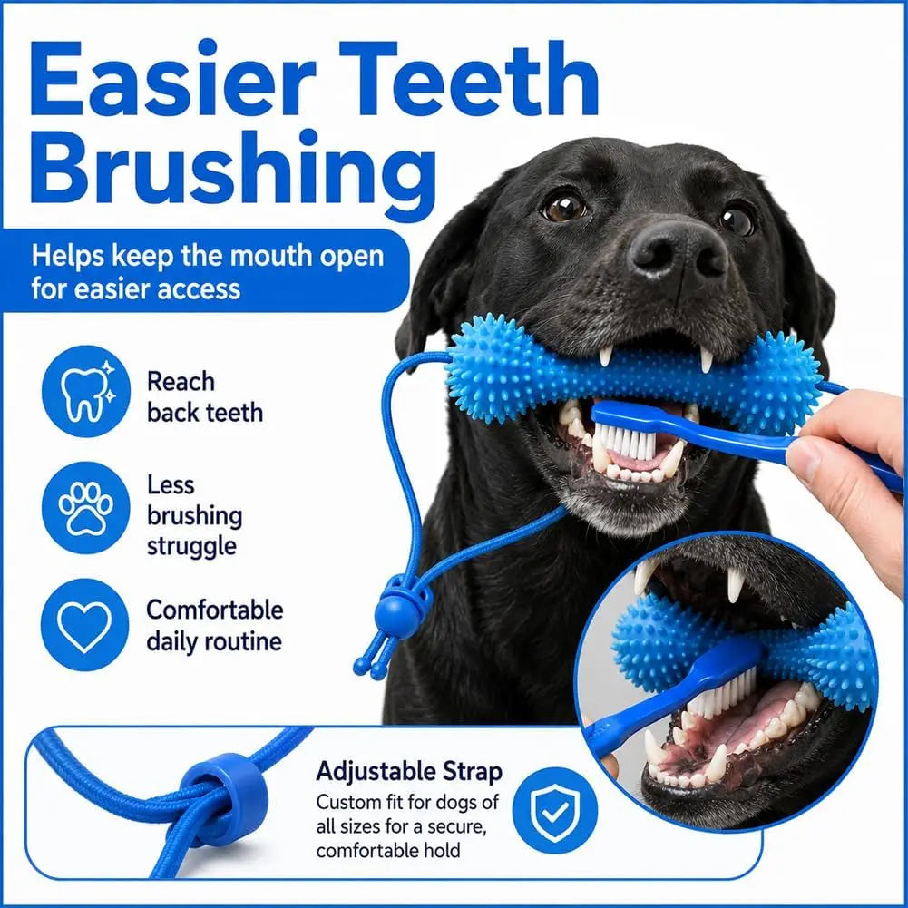 Dental Chew Bone with Tug Rope