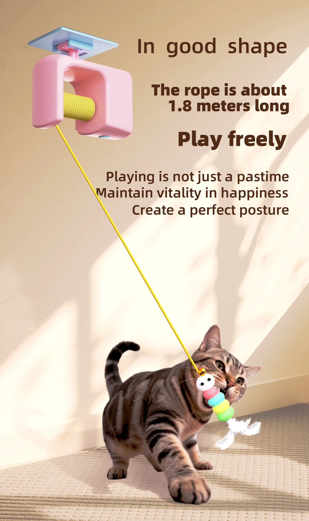 Flying Bird Cat Teaser