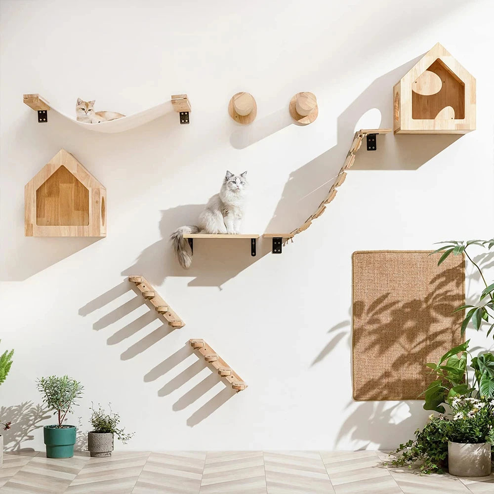 Wall-Mounted Cat Shelves