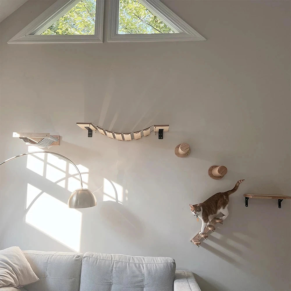 Wall-Mounted Cat Shelves